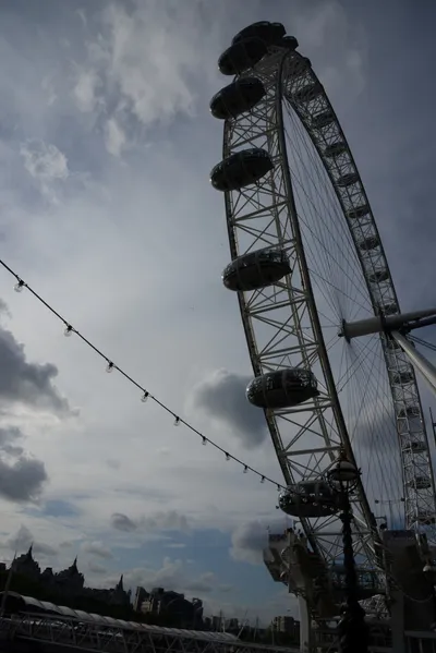 DSC_2805 (Large).JPG